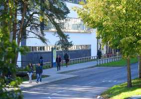 Students walking through campus