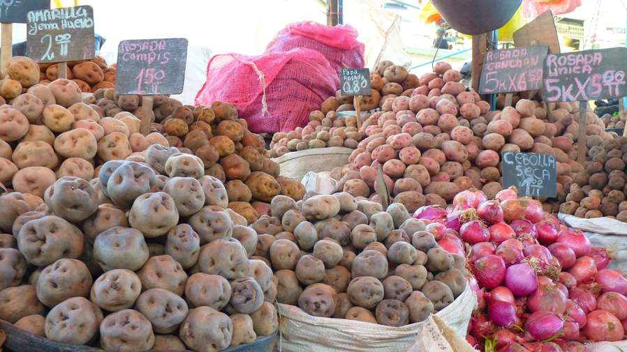 potato market
