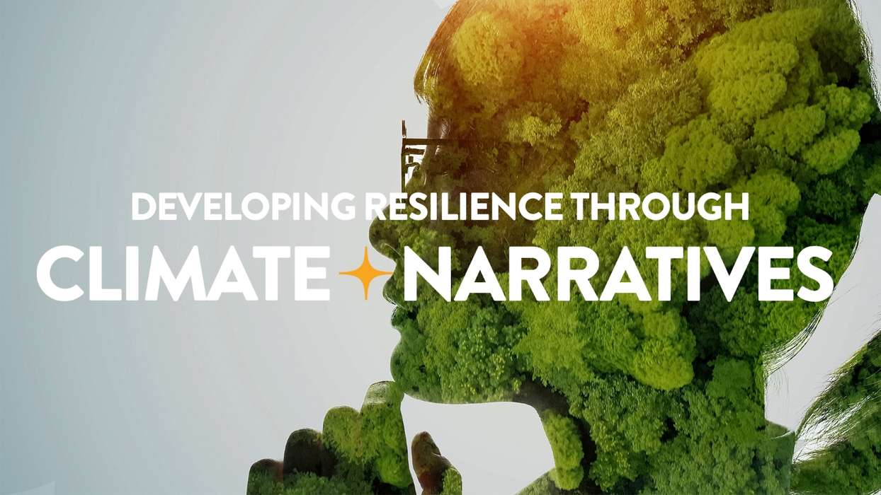 Climate-Narratives-Face-in-the-trees.jpg