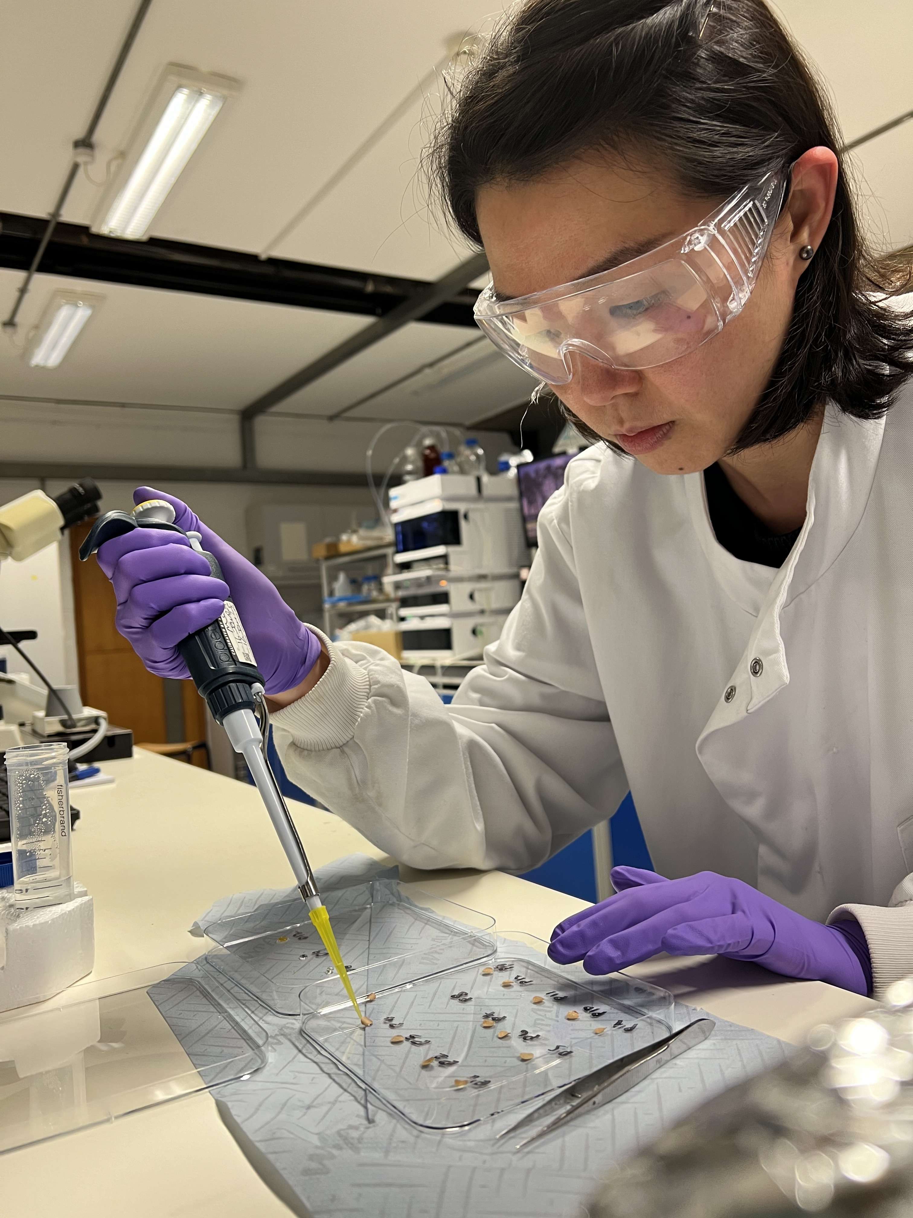 Image shows women working in a laboratory with a pipette