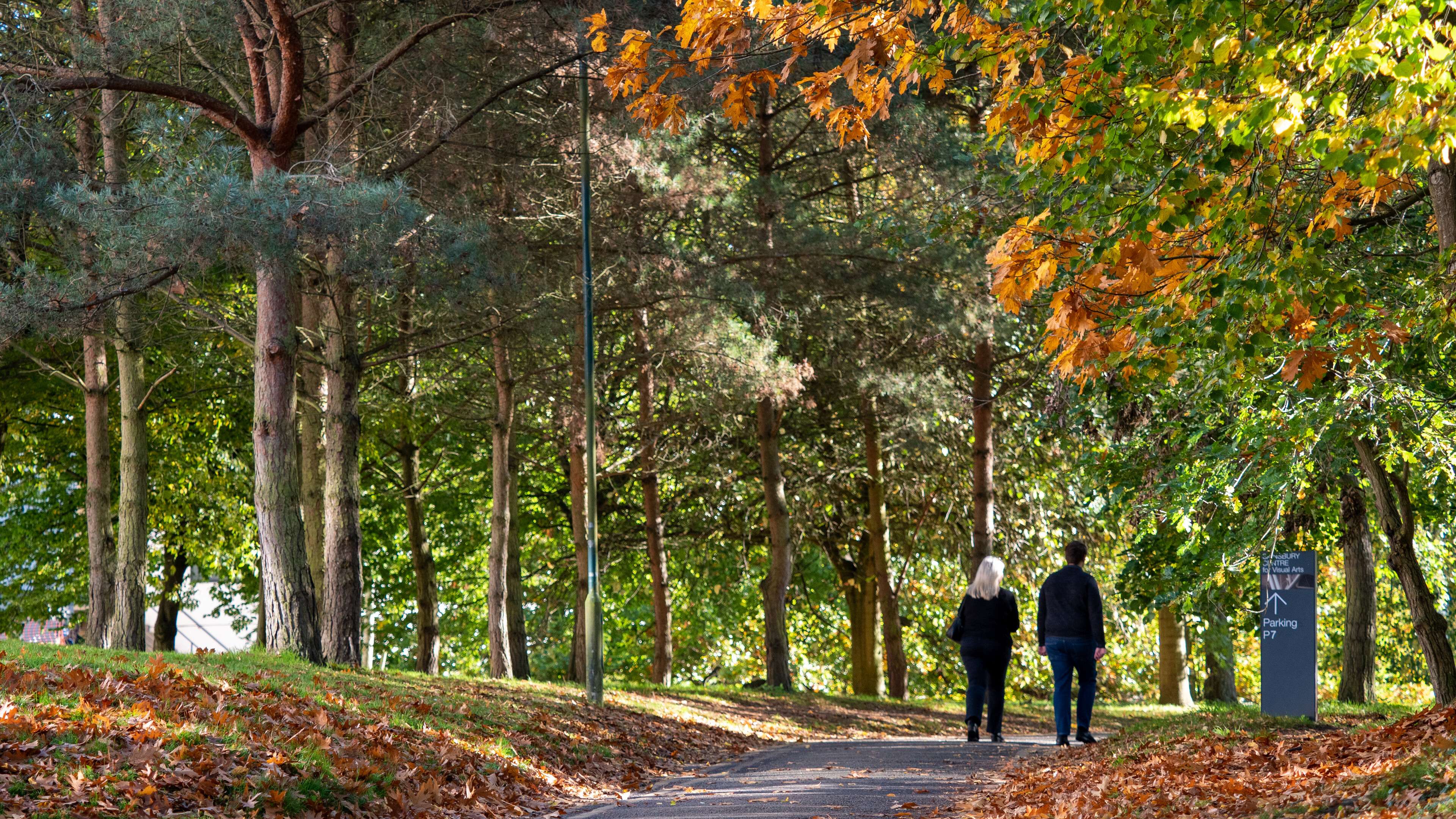 Two people walking through campus