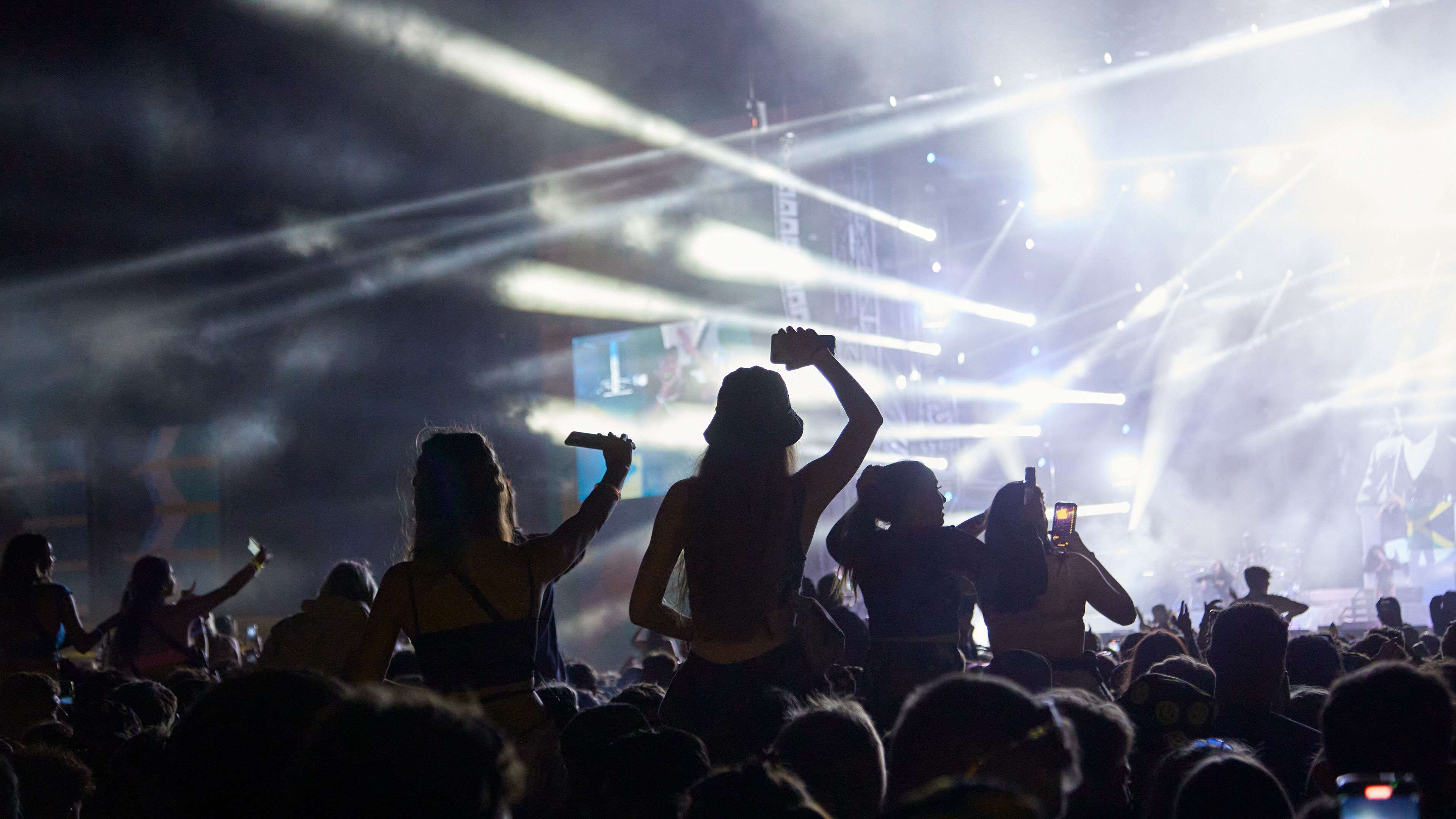 Festival crowd
