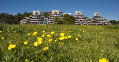 The ziggurat halls of residence at UEA, seen from the grounds