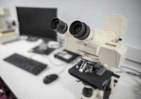 Microscope