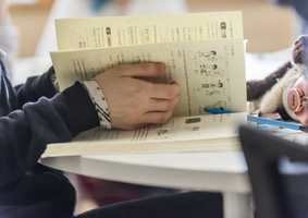 uea language programme