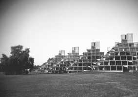 The Ziggurats