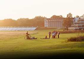 background-campus icon.jpg