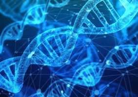 DNA strands