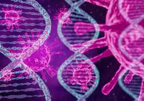 Covid 19 genomes