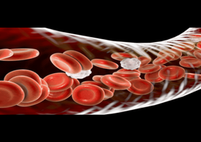 Blood cells