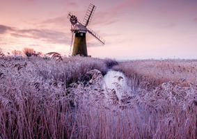 A windmill in a pink field