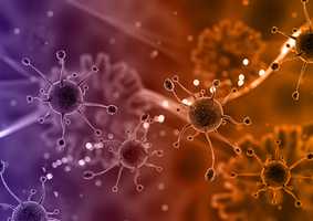 Digital representation of cells