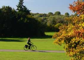 student riding bike on campus