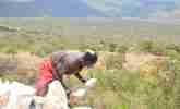 Tepeth labouring for cement companies
