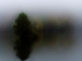 Misty lake with trees on the shoreline.